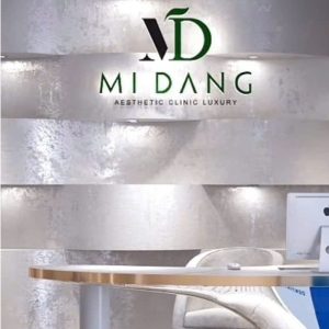 Sơn hiệu ứng nhũ đẳng cấp