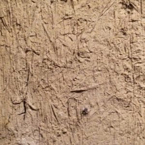 Sơn hiệu ứng sần đẹp